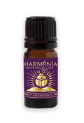 Ascension Oil