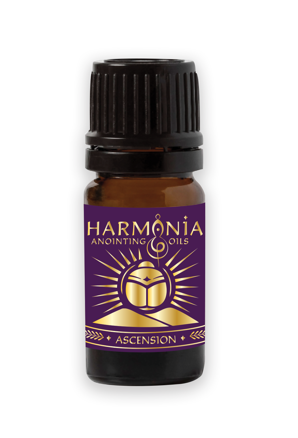 Ascension Oil