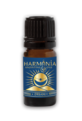 Dream Oil